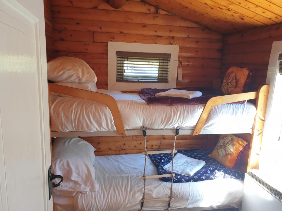 Stunning Log Cabin With Garden In Snowdonia - Hosted By Seren Short Stays Trawsfynydd Exterior photo