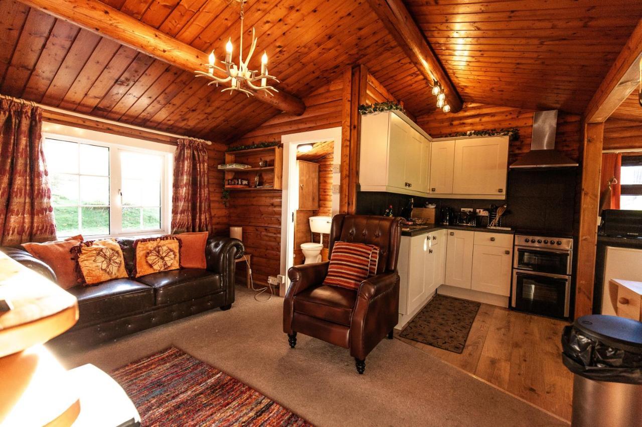 Stunning Log Cabin With Garden In Snowdonia - Hosted By Seren Short Stays Trawsfynydd Exterior photo