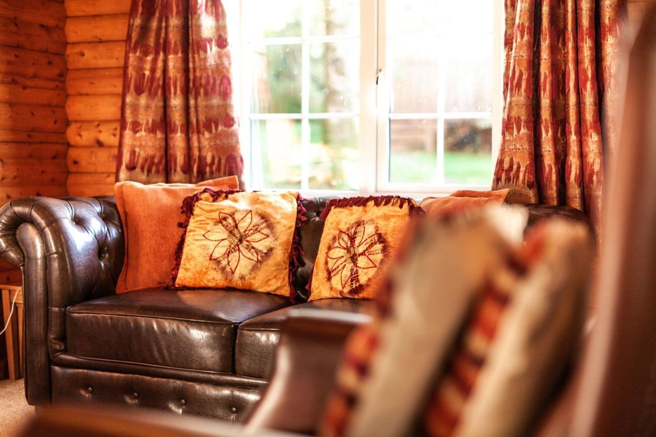Stunning Log Cabin With Garden In Snowdonia - Hosted By Seren Short Stays Trawsfynydd Exterior photo